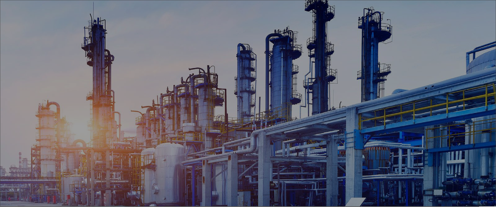 w88win中文手机版