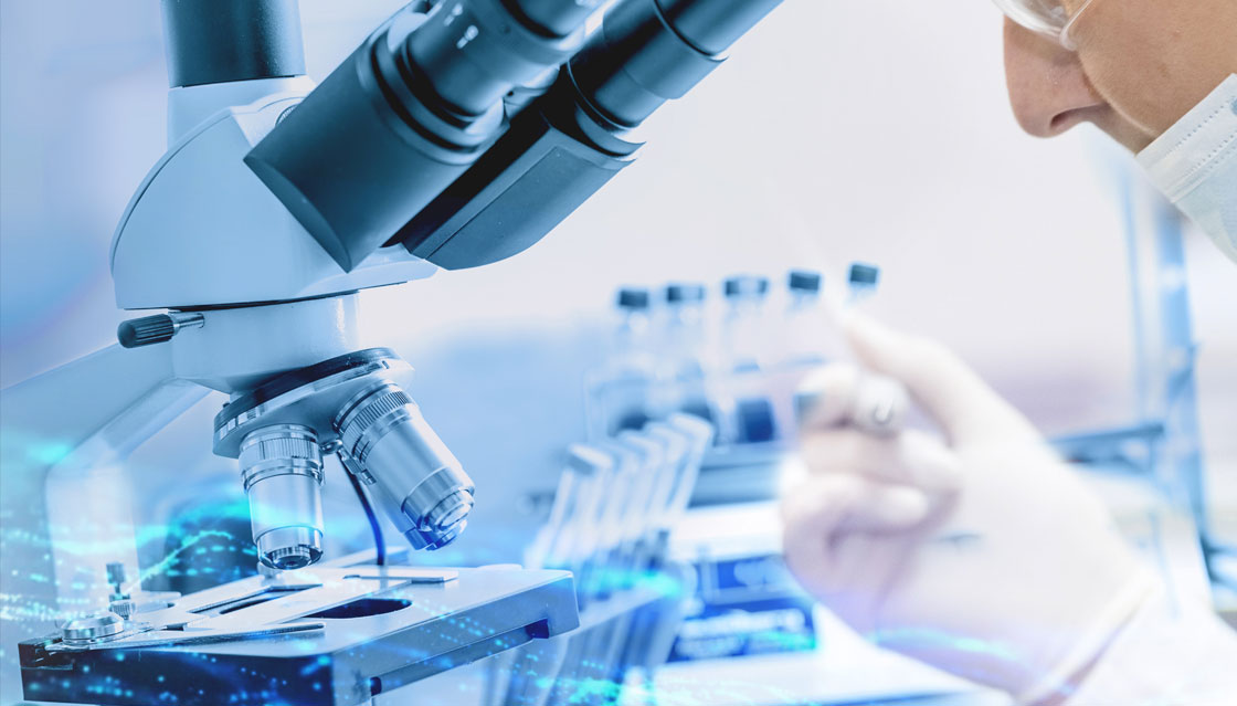 w88win中文手机版